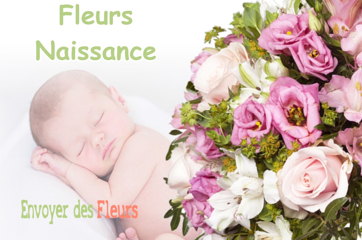 lIVRAISON FLEURS NAISSANCE à SEPTEME